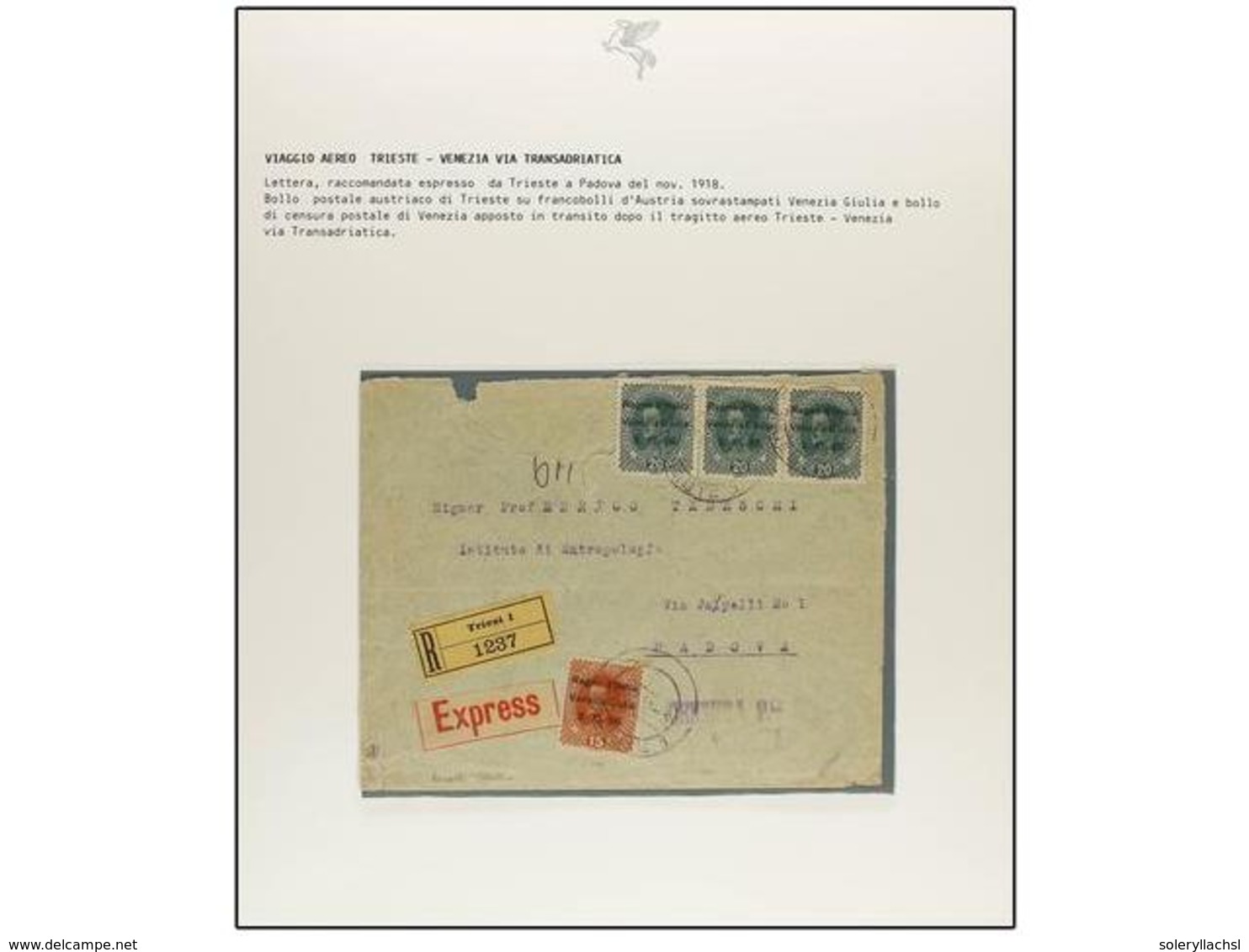 ITALIA. 1918 (Noviembre) A 1919 (Febrero). SERVICIO DE CORREO AÉREO ENTRE POLA Y TRIESTE A VENECIA Por La COMPAÑÍA TRANS - Sonstige & Ohne Zuordnung