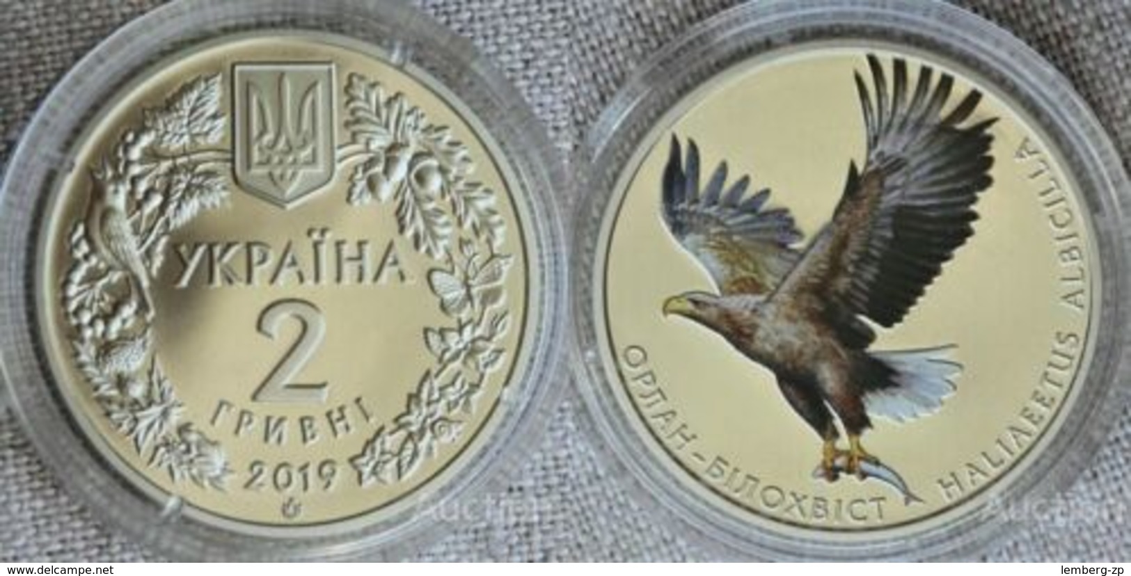 Ukraine - 2 Hryvni 2019 Orlan-Bilokhvist UNC Lemberg-Zp - Ucraina