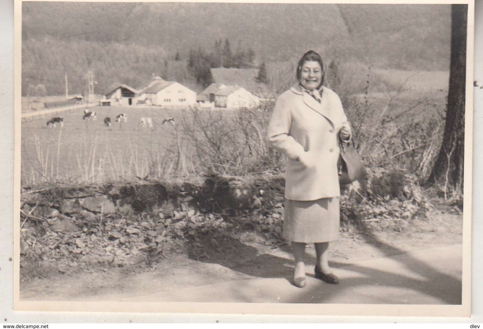 Trois-Ponts - Vue D' Henri-Moulin - 1962 - Photo 7 X 10 Cm - Plaatsen