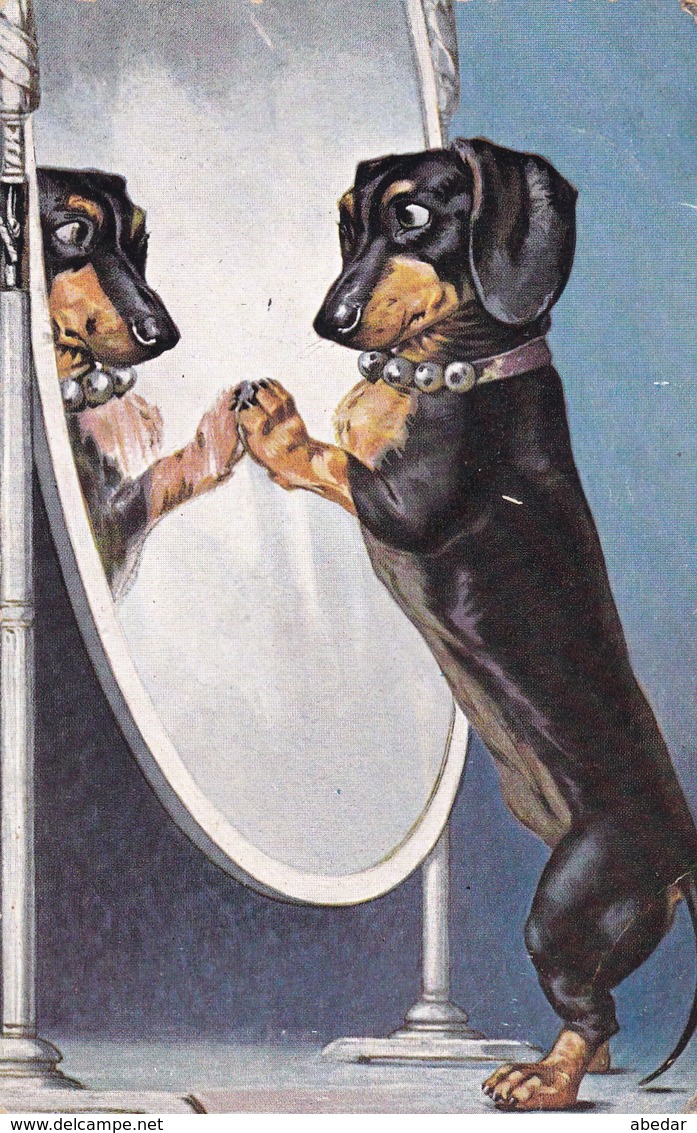 Dackel Teckel Dachshund Chien Mirror Old Dog Cpa. 1909 - Perros