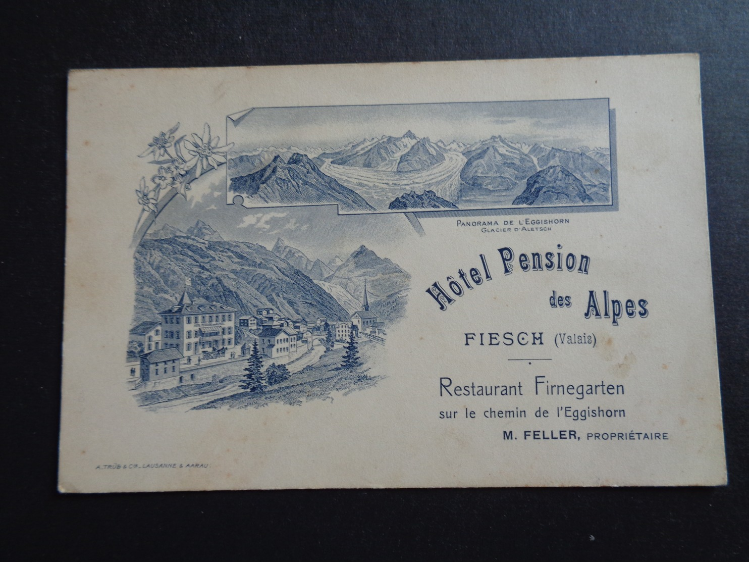 Suisse ( 238 )   Switserland  Svizzera  Sweiz  Zwitserland  :  Fiesch ( Valais )  Hôtel Pension Des Alpes - Fiesch