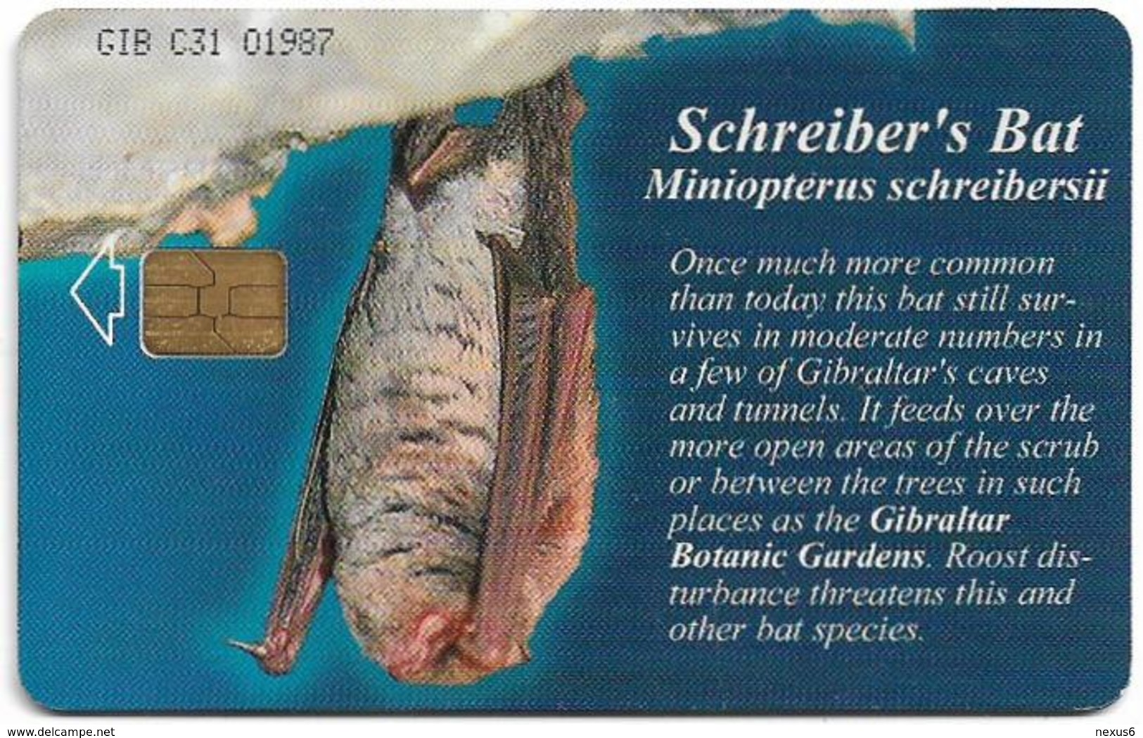 Gibraltar - GNC (Chip) - Schreiber's Bat, 2001, 25U, 3.000ex, Used - Gibraltar