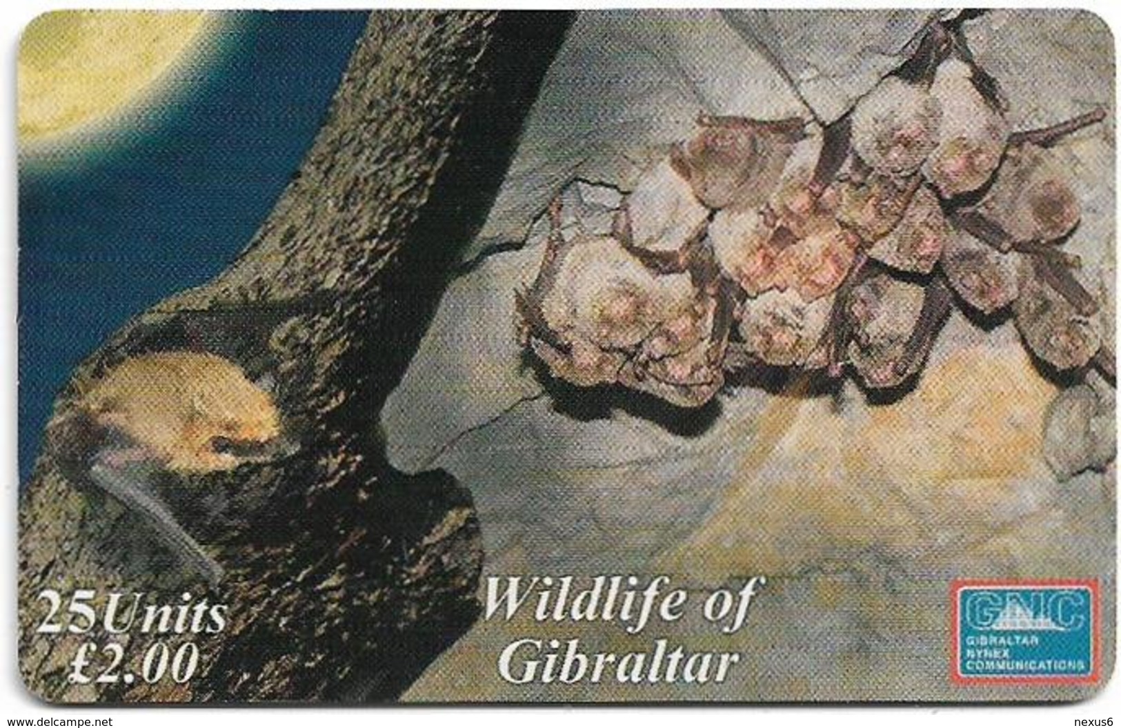 Gibraltar - GNC (Chip) - Schreiber's Bat, 2001, 25U, 3.000ex, Used - Gibraltar