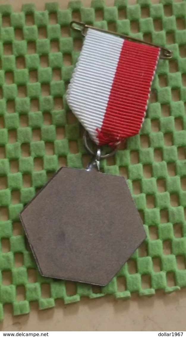Medaille :Netherlands  - 13e Rooijmars , Sprang - Capelle  / Vintage Medal - Walking Association - Andere & Zonder Classificatie
