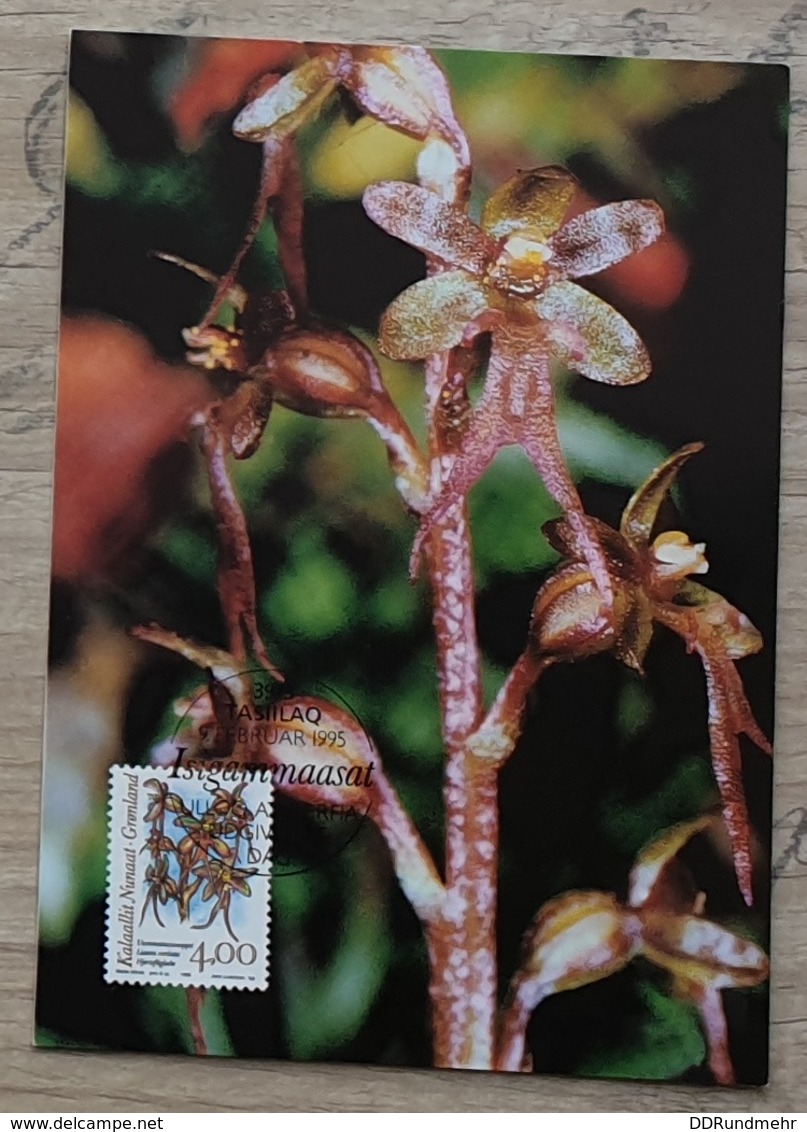 1995 9. Feb. Arktische Orchideen Postkarte Ersttagsstempel Mi GL 256 Yt GL 244 Sg GL 276 AFA GL 258  Un GL 244 - Gebraucht