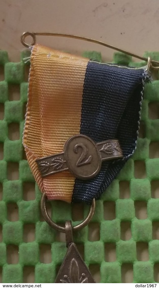 Medaille :Netherlands  -  Pinkstertocht - W.S.V Milsbeek / Vintage Medal - Walking Association - Andere & Zonder Classificatie