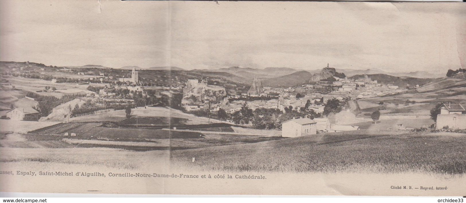 CPA Précurseur Vue Panoramique Du Bassin Du Puy, Prise De Viaye ... : L'Arbousset, Espaly, Saint-Michel D'Aiguilhe ... - Sonstige & Ohne Zuordnung