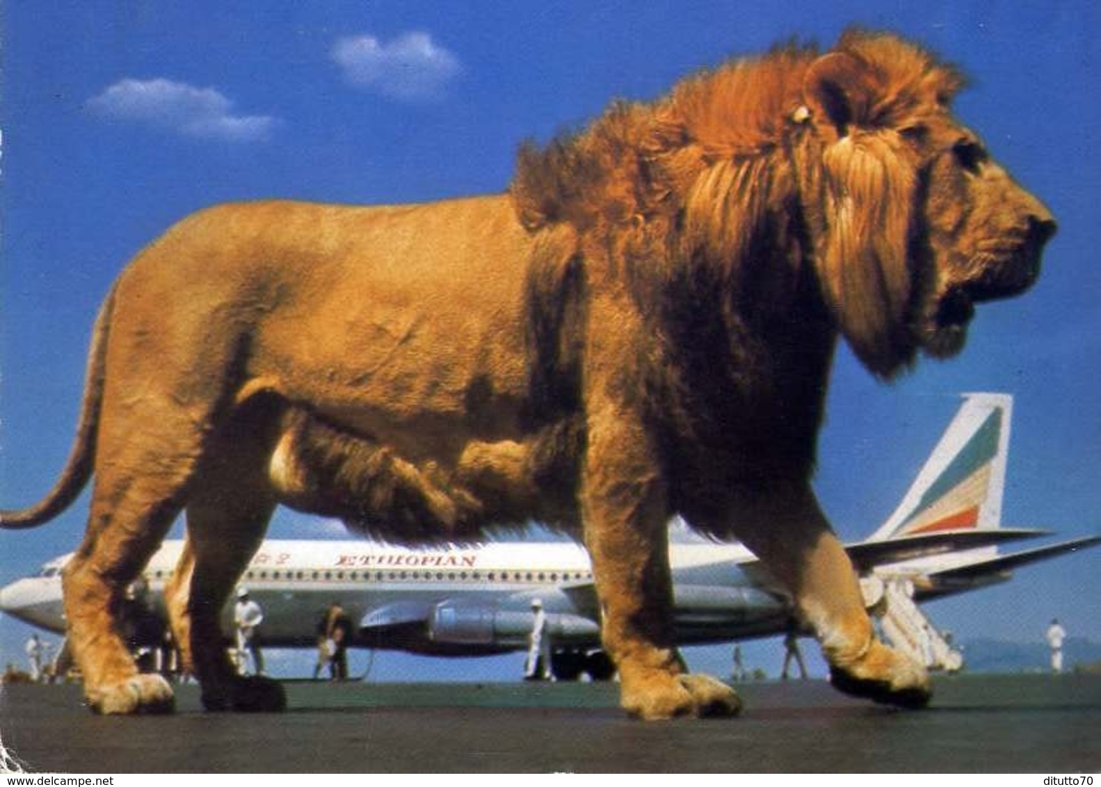 Aereo - Ethiopian Airlines - Leone - Formato Grande Viaggiata – E 13 - 1946-....: Era Moderna