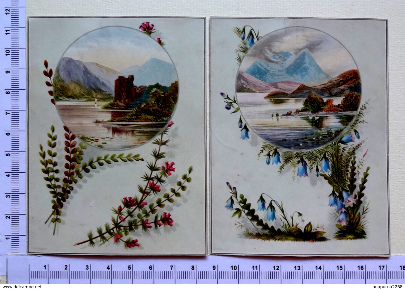 2 CHROMOS LITHOGRAPHIES....PAYSAGE ...LAC...MONTAGNES...BRUYÈRES ET CAMPANULES - Autres & Non Classés