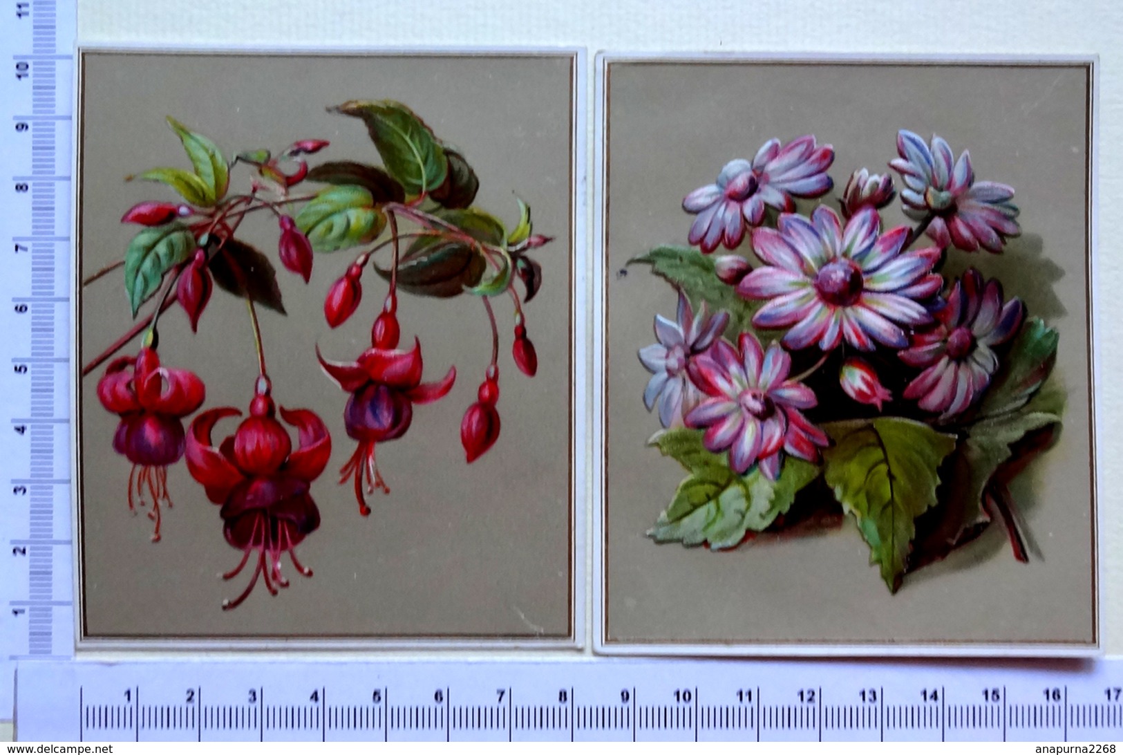 2 CHROMOS LITHOGRAPHIES. GAUFRÉES...BORDS DORES....FLEURS...FUCHSIAS ET MARGUERITES - Autres & Non Classés