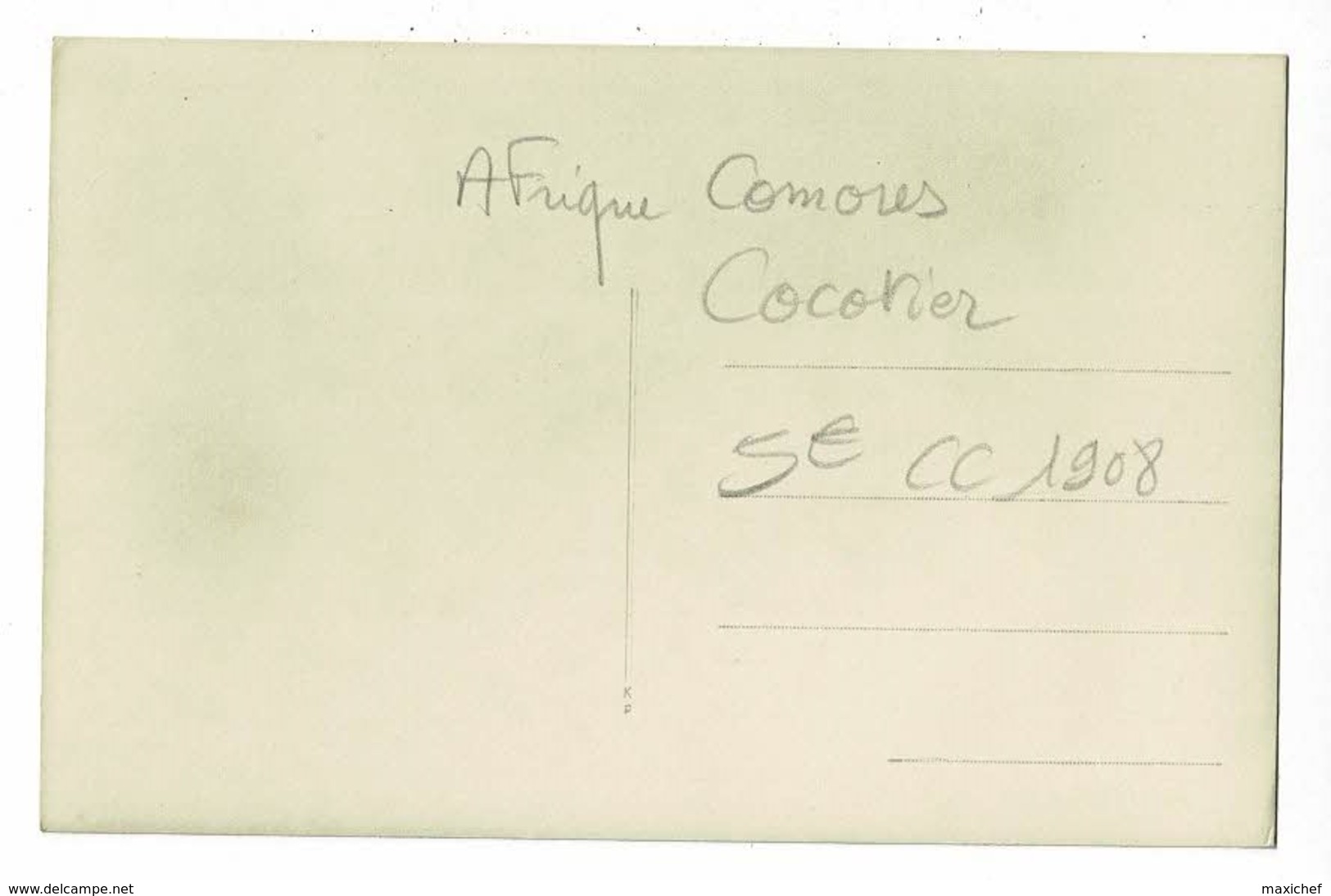 Carte Photo - Moroni - Cocotier (noix De Coco)- Pas Circulé - Comoren