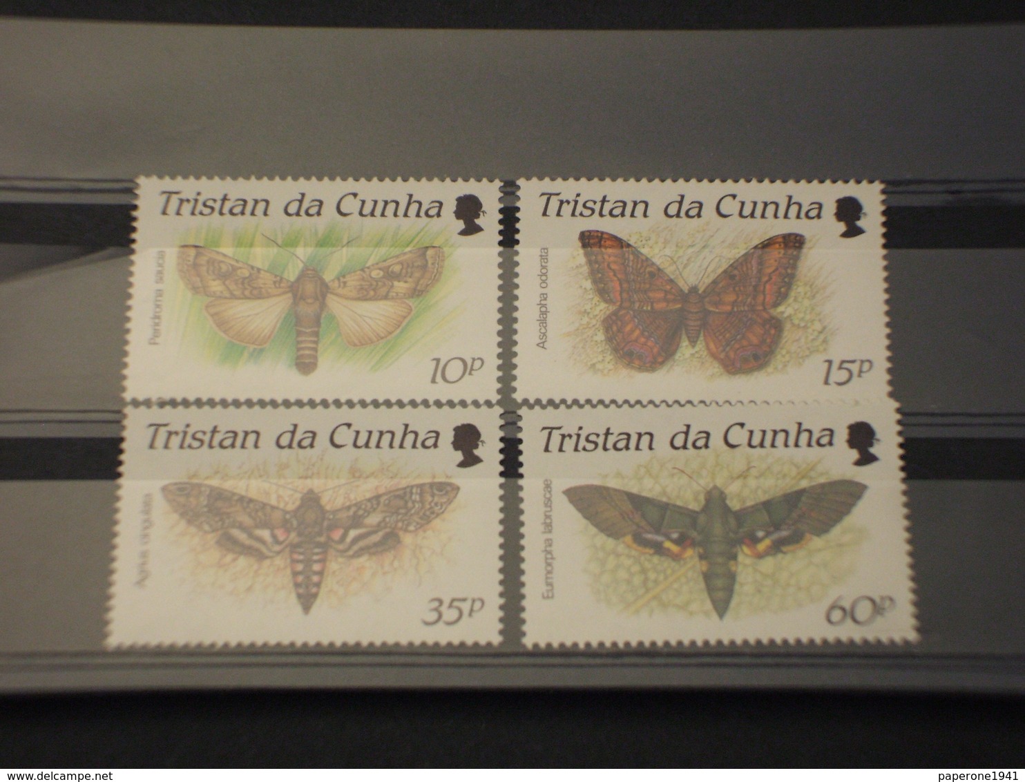 TRISTAN DA CUNHA -  1990 FARFALLE 4 VALORI - NUOVI(++) - Tristan Da Cunha