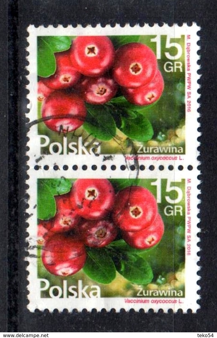 2016 Poland Polen Pologne Mi. 4871 Paar Gestempelt, Flora - Flowers And Fruits; Small Cranberry, S. Scan - Obst & Früchte