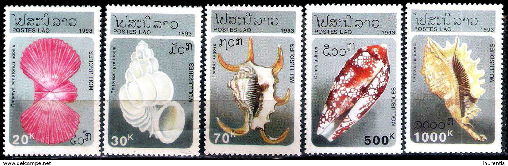 2599  Shells - Coquillages - Lao 1999 - MNH - 1,95 - Coquillages