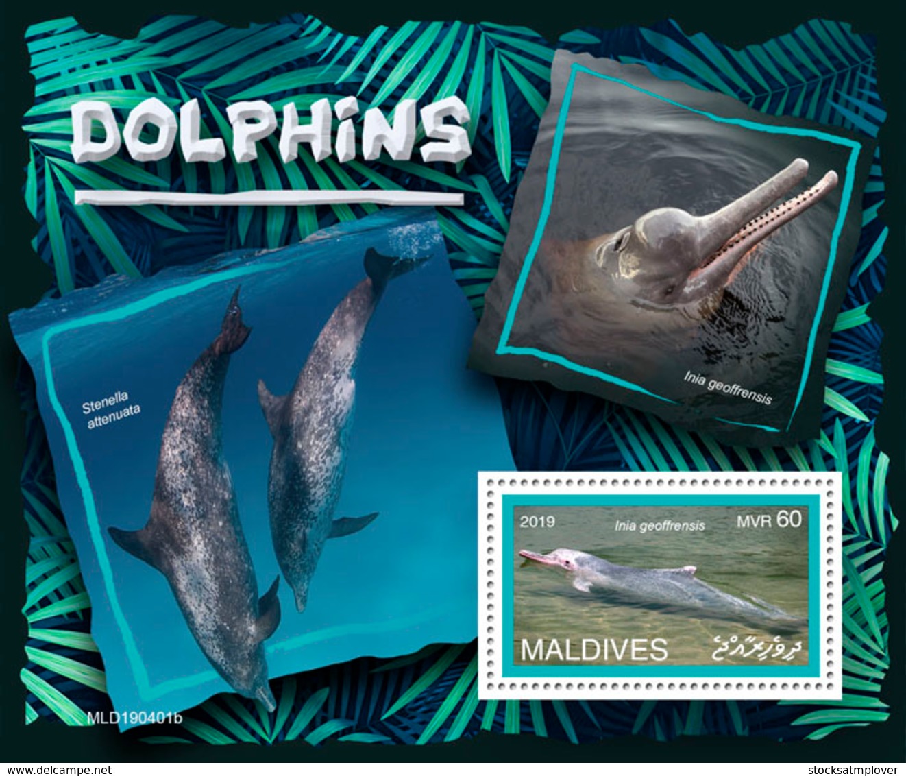 Maldives  2019 Fauna  Dolphins S201907 - Maldives (1965-...)