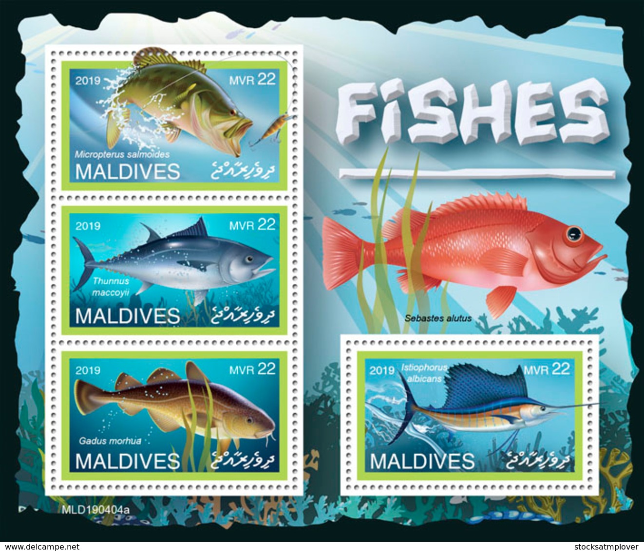 Maldives  2019 Fauna Fishes S201907 - Maldives (1965-...)