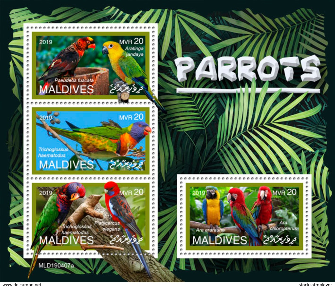 Maldives  2019 Fauna Parrots  S201907 - Maldivas (1965-...)