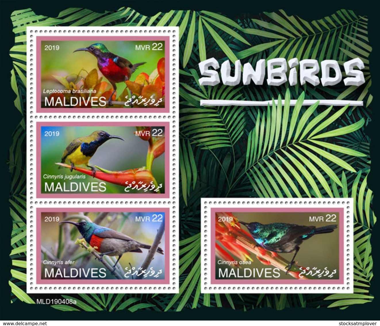 Maldives  2019 Fauna Sunbirds S201907 - Maldives (1965-...)
