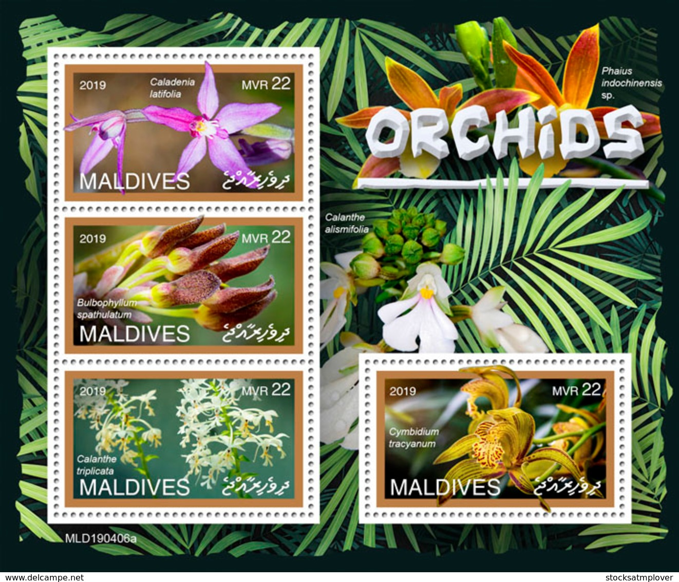 Maldives  2019 Orchids  S201907 - Maldives (1965-...)