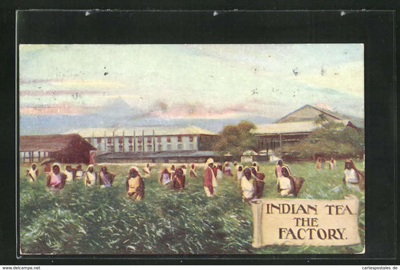 AK Indian Tea Factory Coysh Ltd. - Andere & Zonder Classificatie