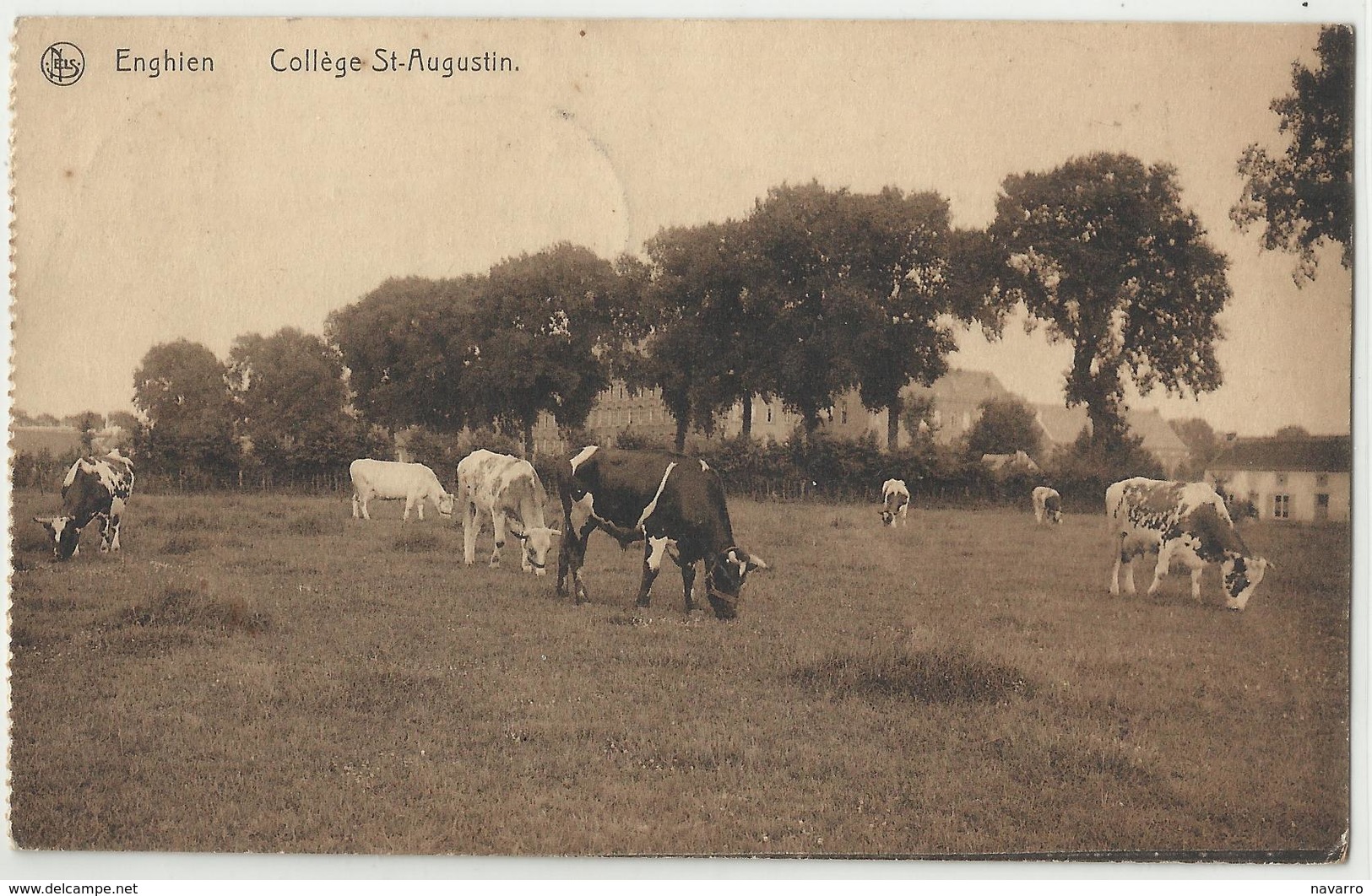 Enghien - Collège Saint-Augustin 1919 - Edingen