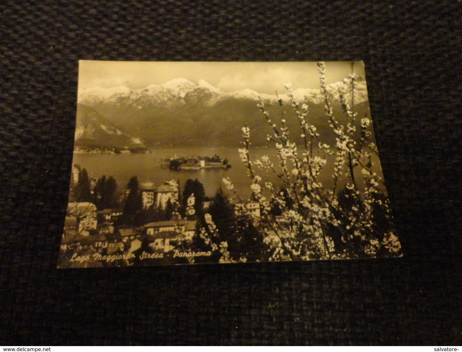 CARTOLINA LAGO MAGGIORE-STRESA PANORAMA-VIAGG.1965 - Varese