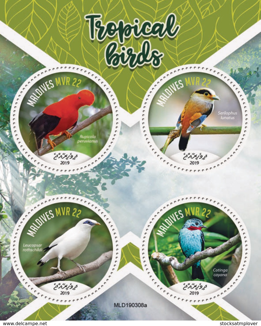 Maldives  2019 Fauna Tropical Birds  S201907 - Maldives (1965-...)