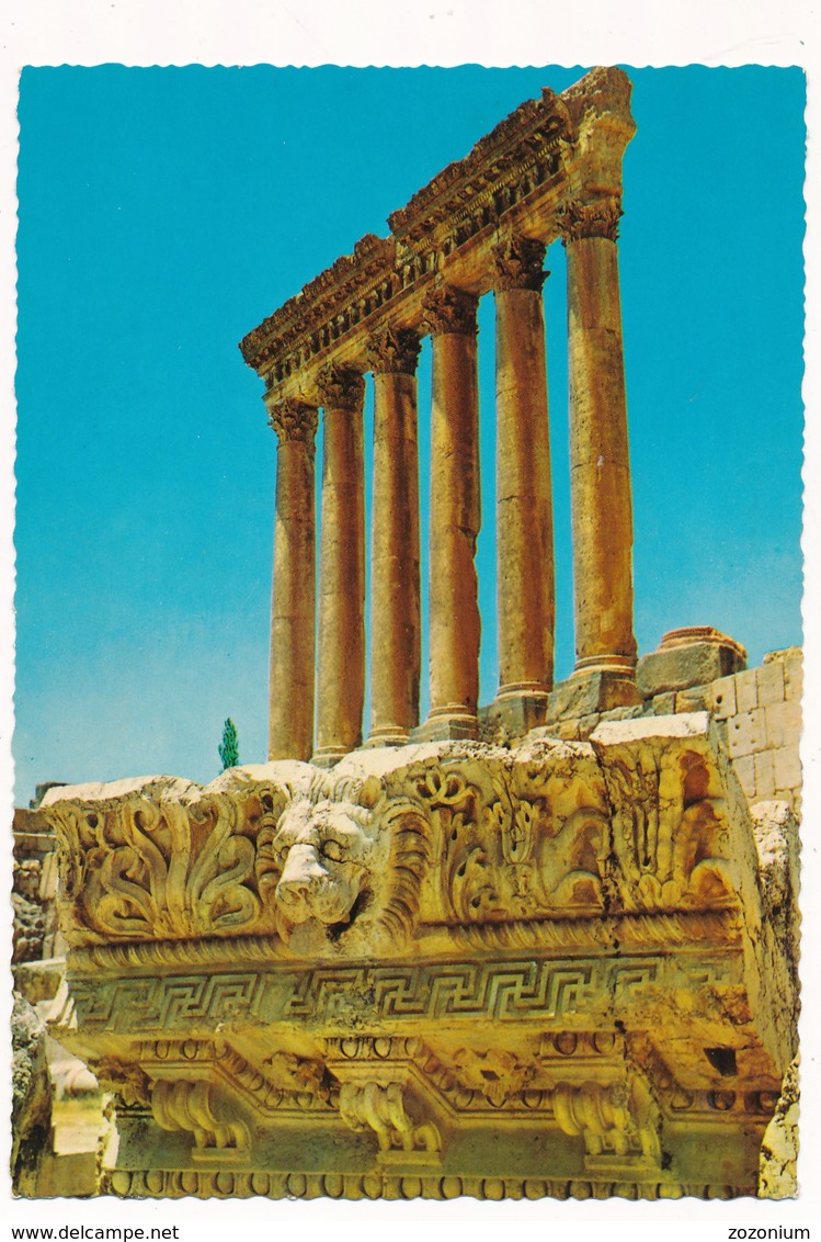 Liban Libanon Libanaise, BAALBECK Jupiter Temple Old Postcard - Libanon