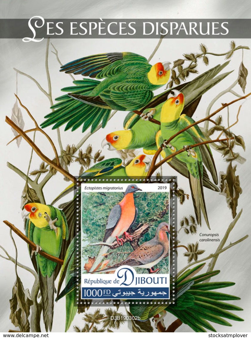 Djibouti   2019 Fauna Extinct Species ,parrot ,birds   S201907 - Yibuti (1977-...)