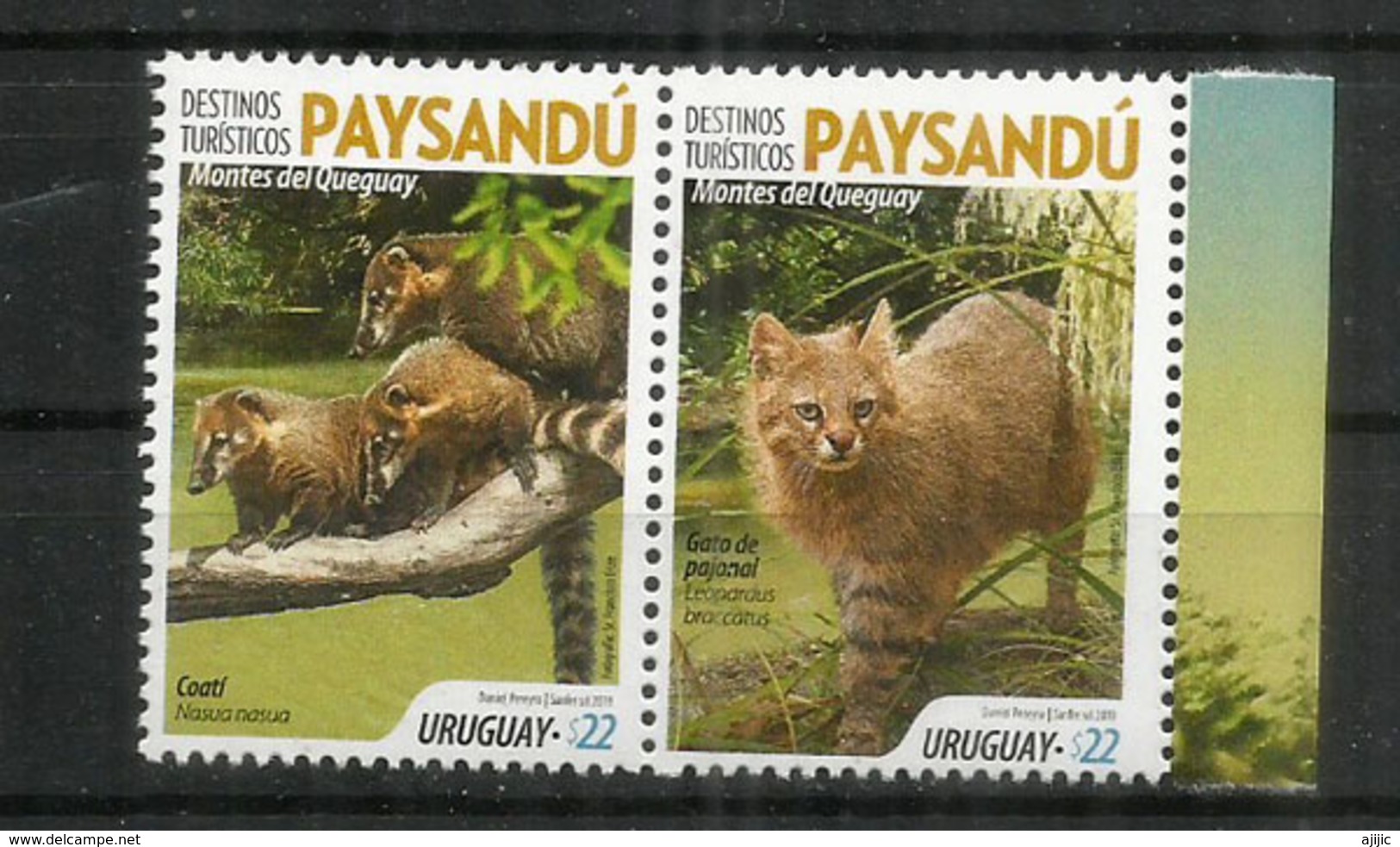 Chat Du Pantanal & Coati à Queue Annelée. Deux Timbres Neufs ** Se-tenant D'URUGUAY 2019 - Raubkatzen