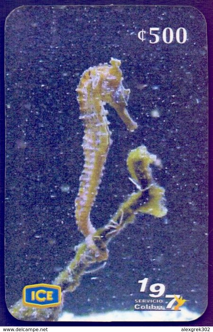 Used Phone Cards Costa Rica - Fishes - The Sea Horse 1V. - Costa Rica