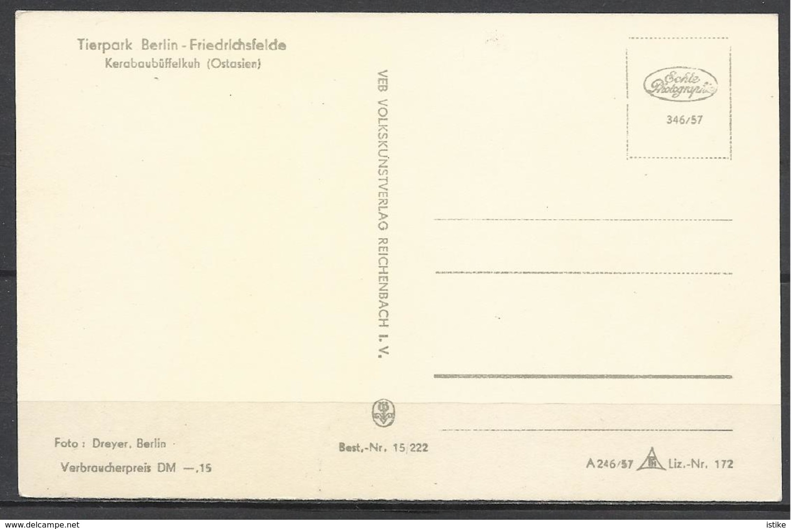 Germany (D.R), Berlin Zoo, Water Buffalo, 1957. - Tauri