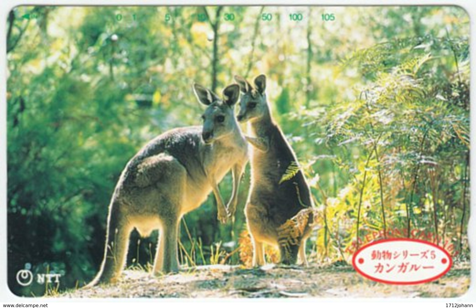 JAPAN A-988 Magnetic NTT [231-152] - Animal, Kangaroo - Used - Japan