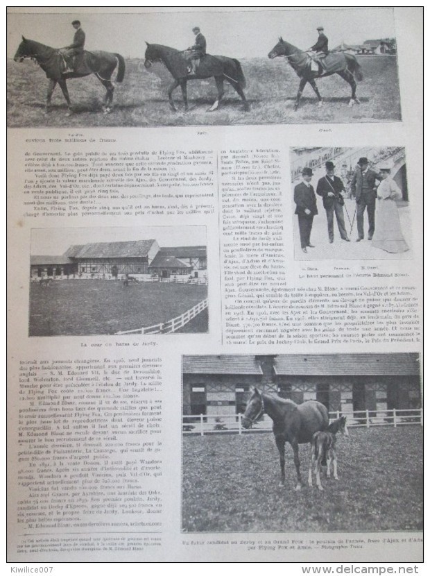 1905  FLYING FOX  L étalon D Un :million équitation Race Pure Sang  Cheval  Haras De JARDY - Ruitersport