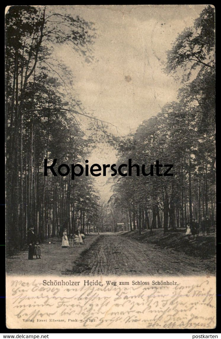 ALTE POSTKARTE BERLIN SCHÖNHOLZER HEIDE WEG ZUM SCHLOSS SCHÖNHOLZ Niederschönhausen Ansichtskarte AK Postcard Cpa - Pankow