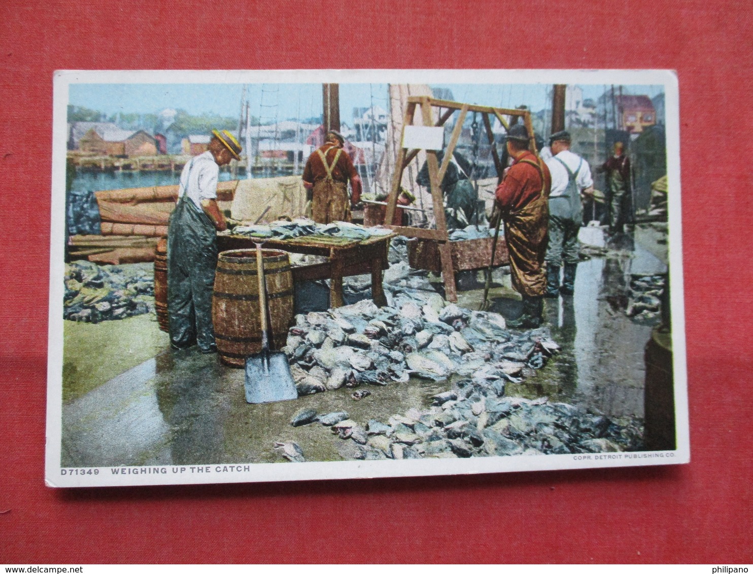 Detroit Publisher  --- Weighing The Catch       Ref    3567 - Fishing