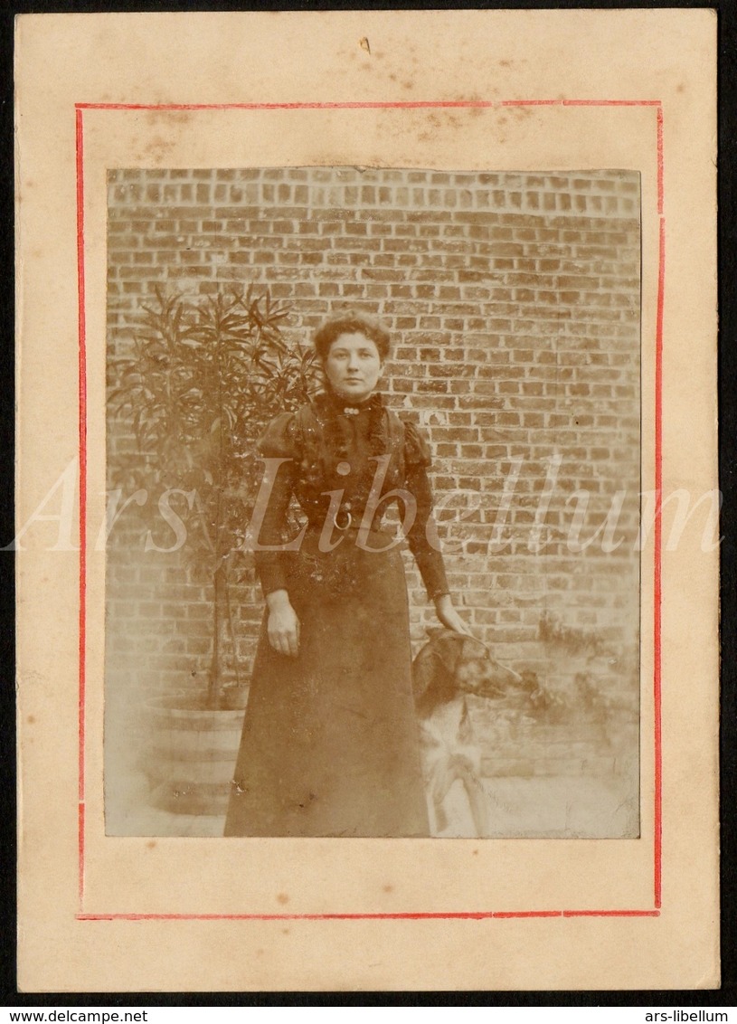 Photo Ancien / Cartonné / Karton / Femme / Woman / Dog / Chien / Hond / Size: 10.50 X 14.70 Cm. - Anciennes (Av. 1900)