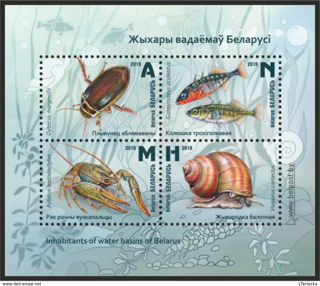 Belarus 2019 - Inhabitants Of Water Basins, S/s MNH. Crayfish, Snail, Beetle. Biélorussie / Weissrussland - Belarus