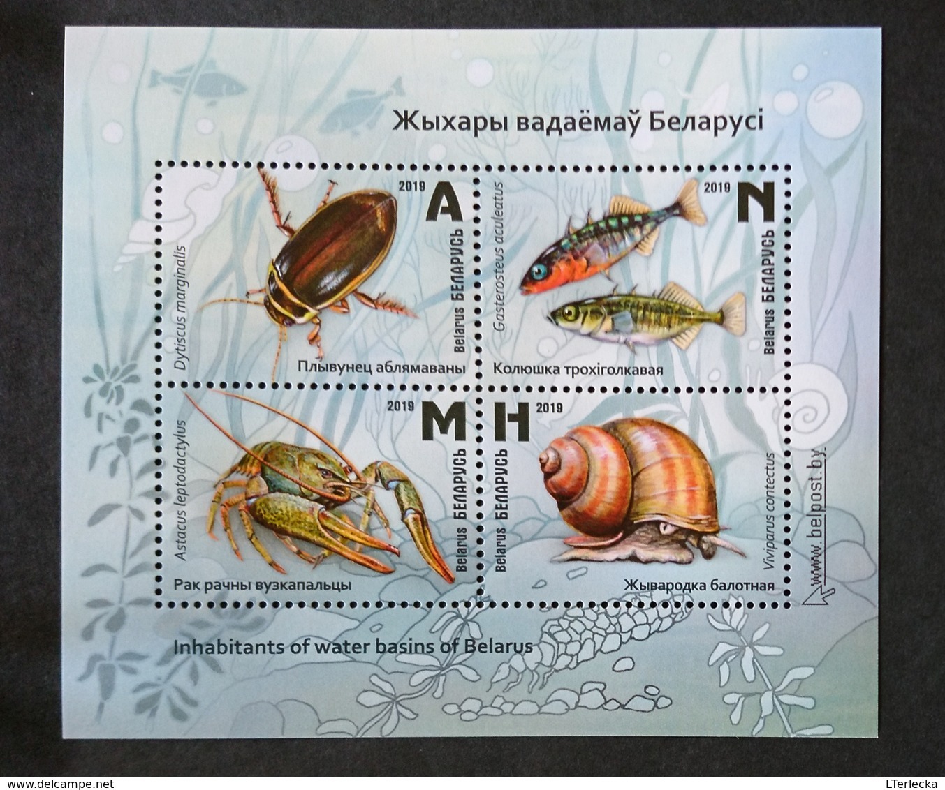 Belarus 2019 - Inhabitants Of Water Basins, S/s MNH. Crayfish, Snail, Beetle. Biélorussie / Weissrussland - Belarus