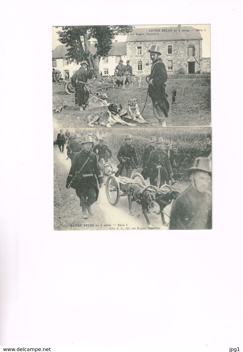 ARMEE BELGE : 2 Cartes Relatives Aux Chiens Dans L'armée. Non écrites. - Guerre 1914-18