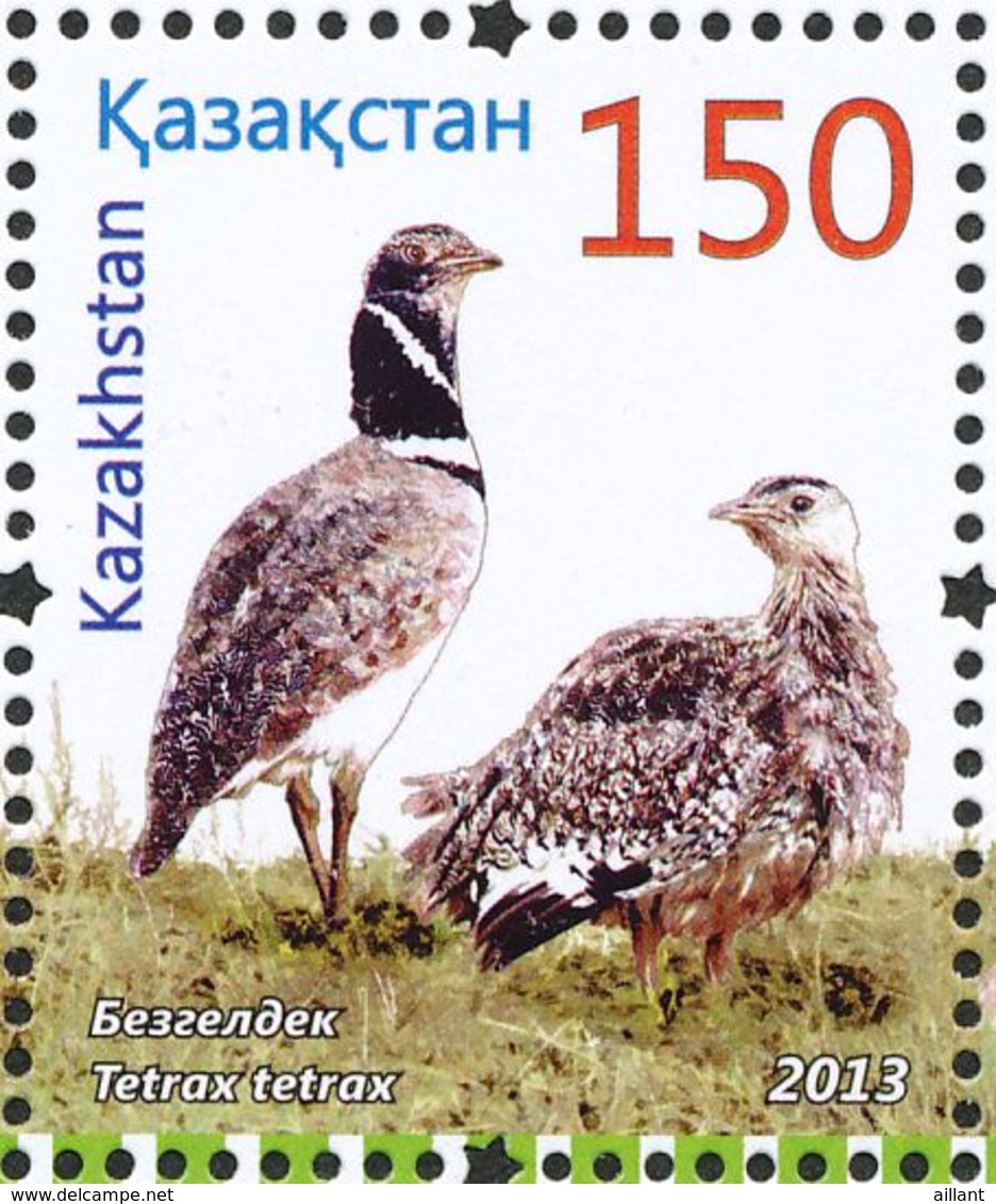 Kazakhstan. 2013  Outarde Canepetière. Little Bustard - Gallinaceans & Pheasants