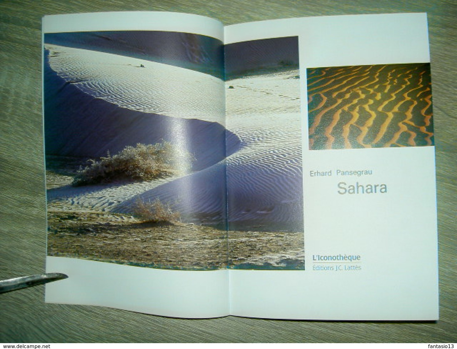 Sahara  Erhard Pansegrau  1991  L' Iconothèque    Plus De 150 Photographies Couleurs - Reisen