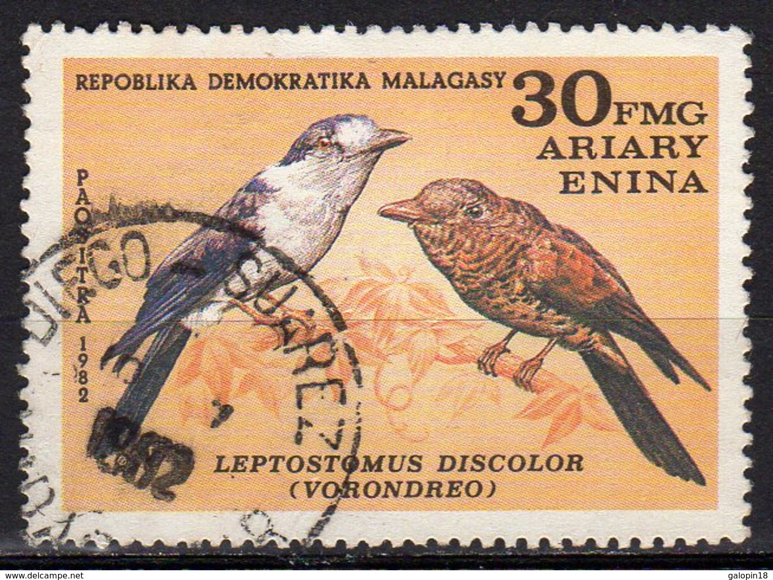 Madagascar Yvert N° 664 Oblitéré Oiseaux Lot 6-159 - Madagascar (1960-...)