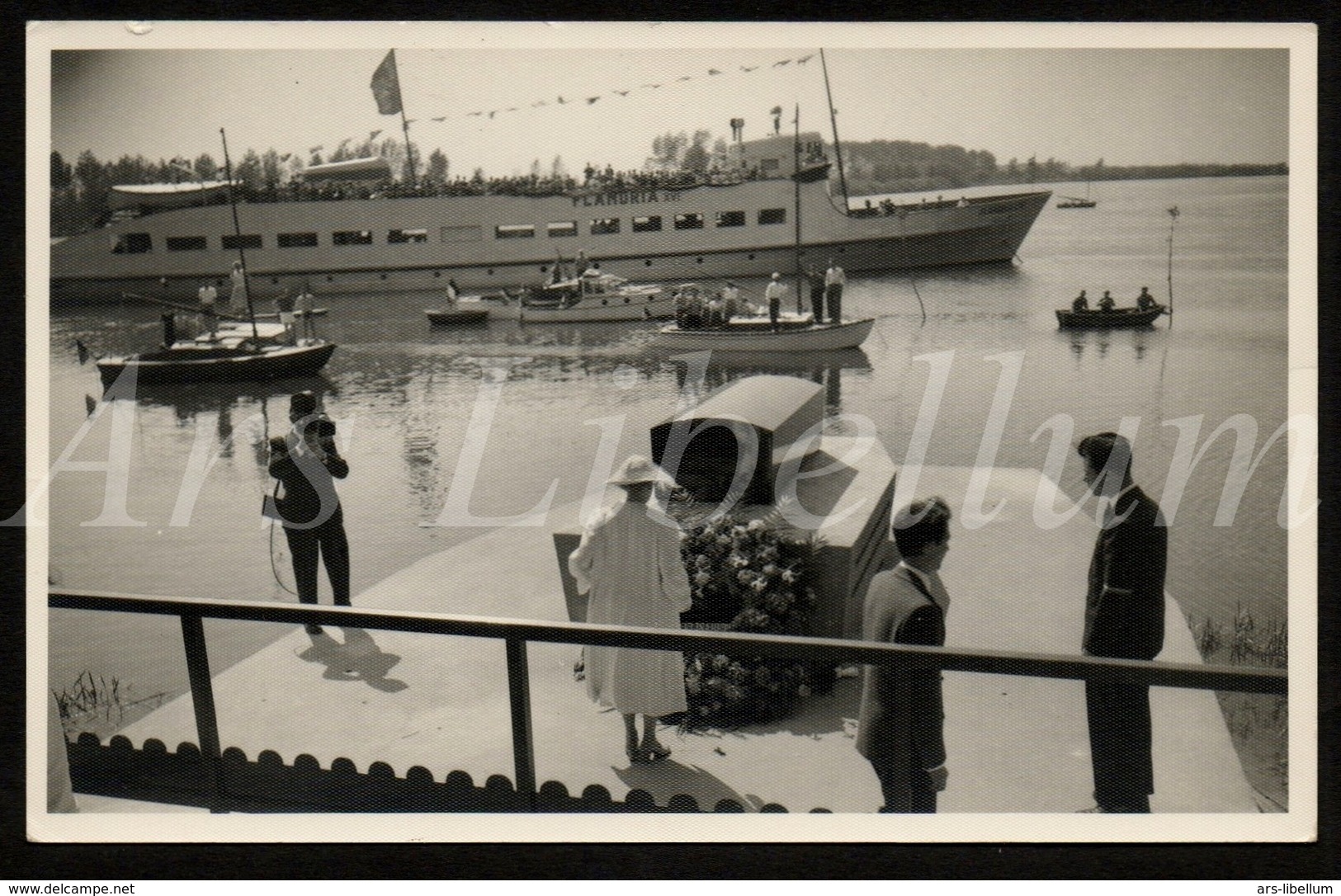 Postcard / CPA / ROYALTY / Belgique / België / Reine Elisabeth / Koningin Elisabeth / Nieuwpoort / Sint-Amands / 1955 - Sint-Amands