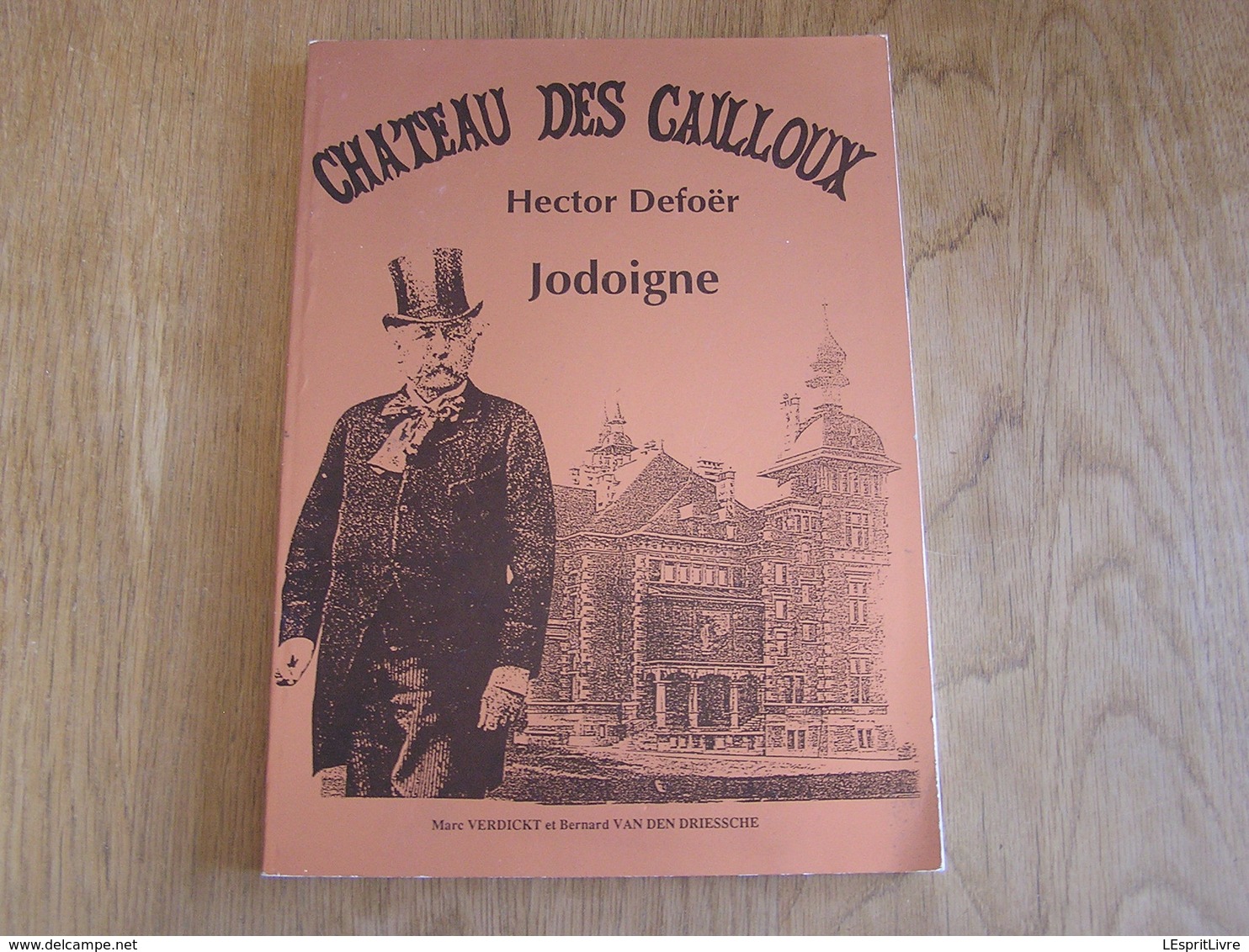 CHÂTEAU DES CAILLOUX Jodoigne Régionalisme Architecture Hector Defoër Dufour Dufort Egypte Salle Des Echos Hopital Parc - Belgique