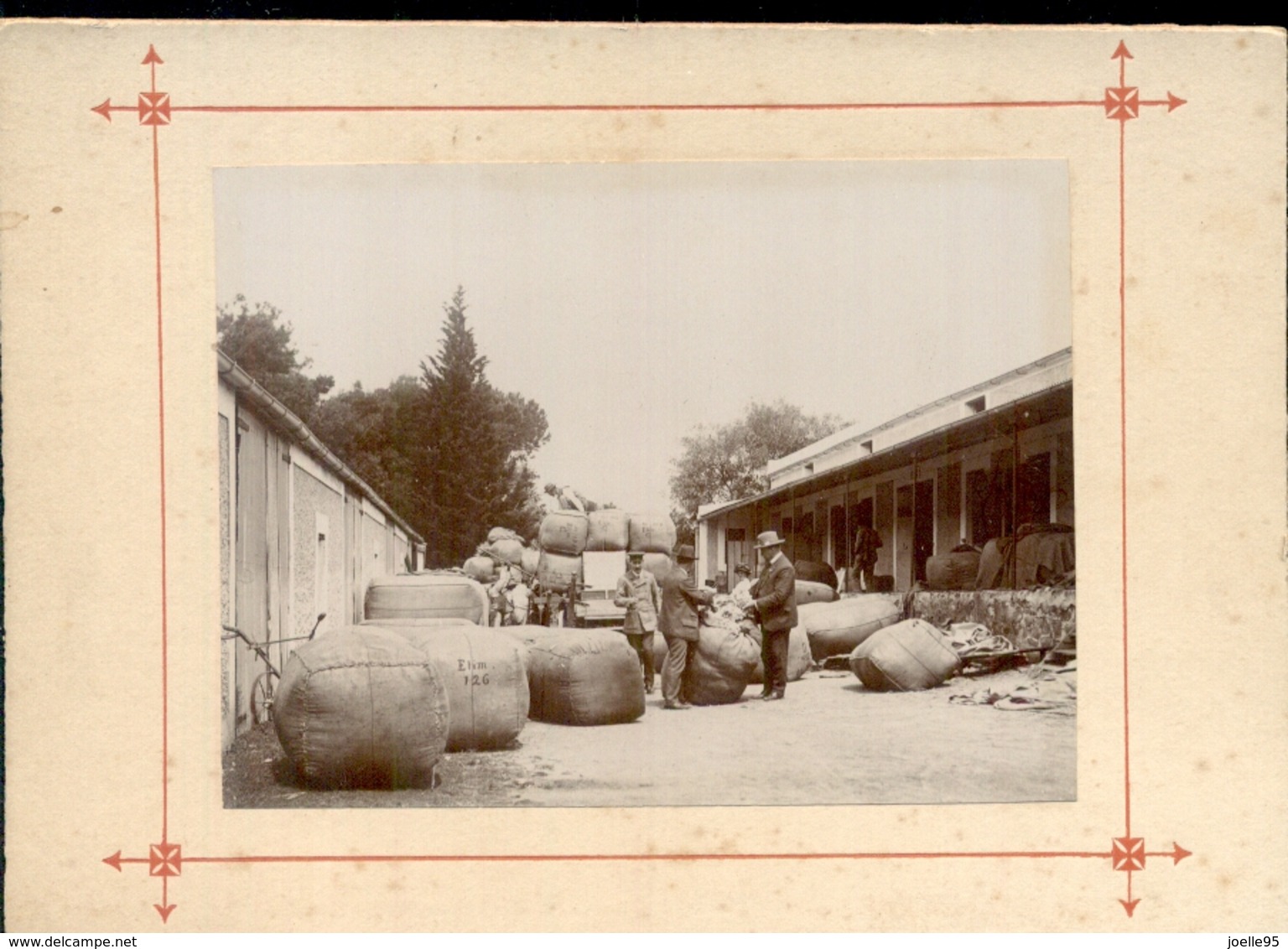 South Africa - Cape Town - Zuid Afrika - Wolhandel - Elim - West Kaap - Overberg - 1900 - South Africa