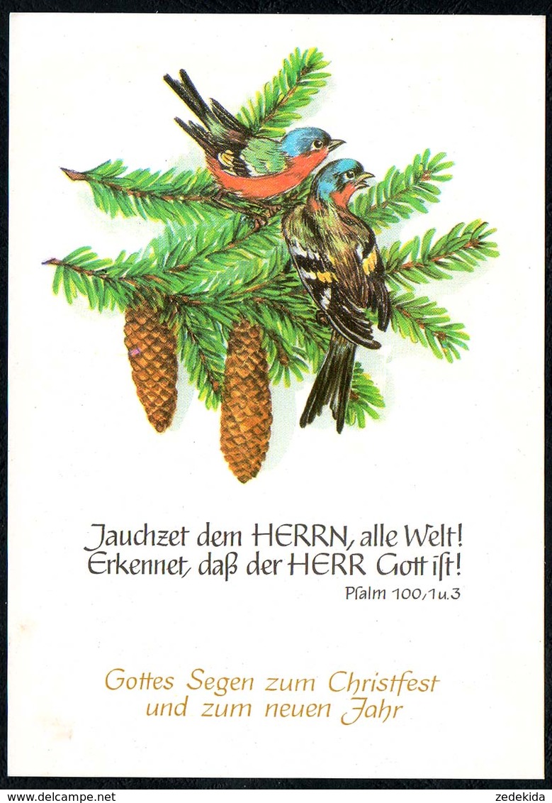 C7293 - TOP Glückwunschkarte Weihnachten - Spruchkarte - Verlag Schäfer DDR - Altri & Non Classificati