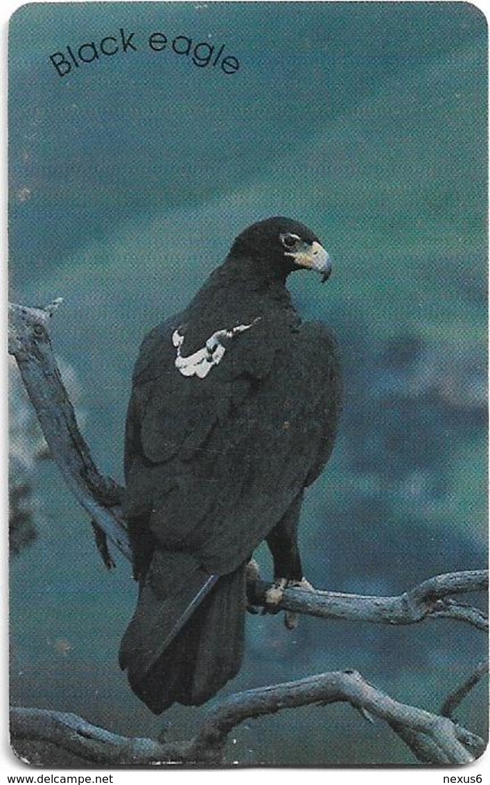 S. Africa - MTN - Birds - Black Eagle, 01.1998, 15R, Used - Afrique Du Sud