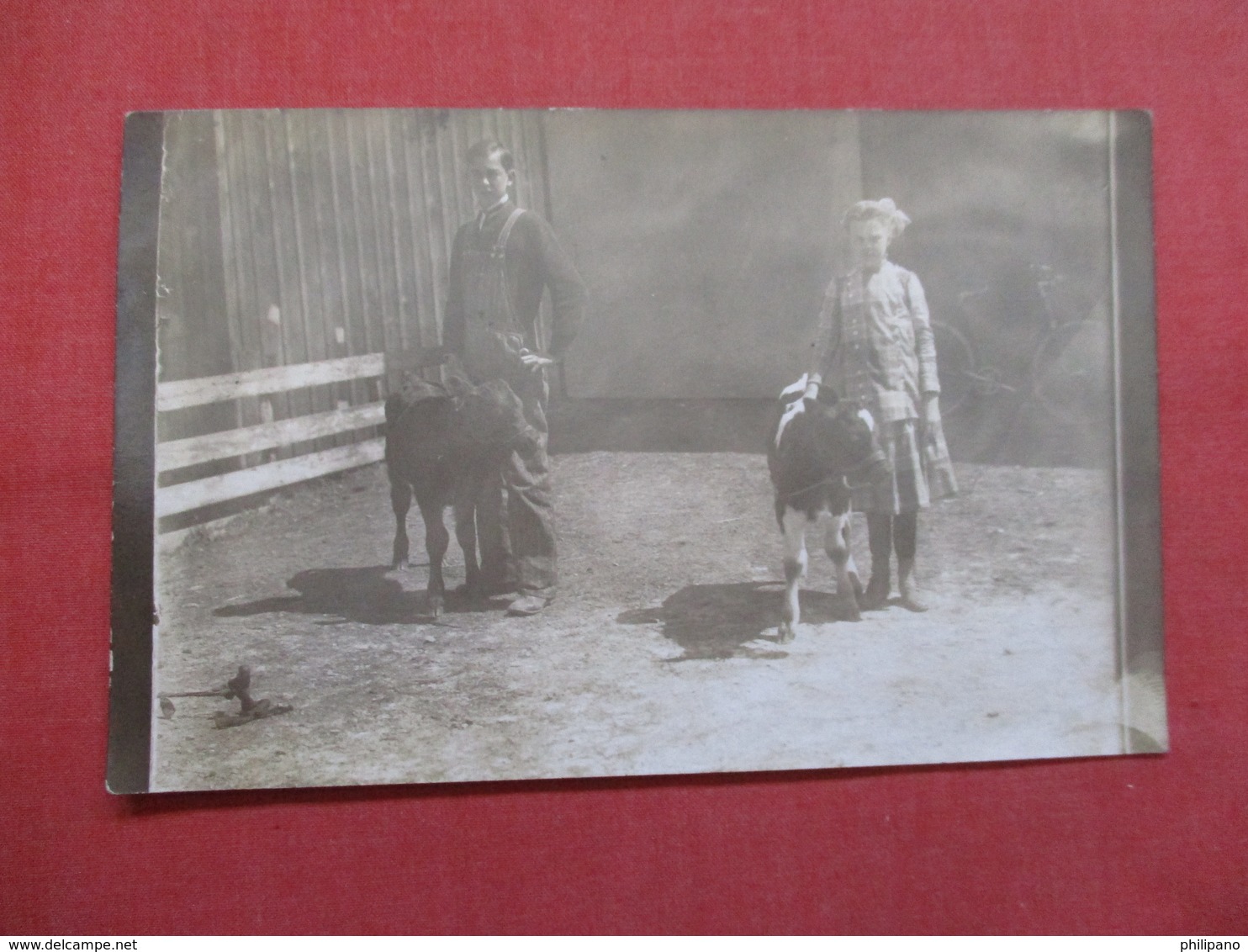 RPPC    Boy & Girl With Cows   Ref    3568 - Cows