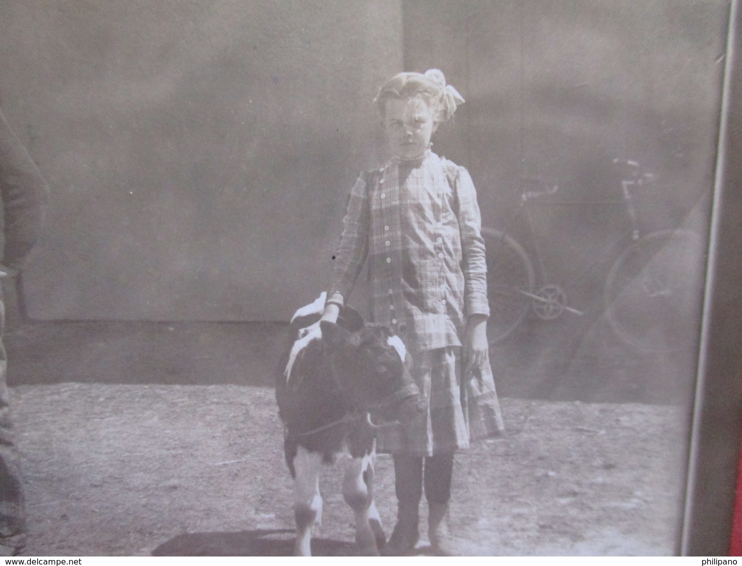 RPPC    Boy & Girl With Cows   Ref    3568 - Cows